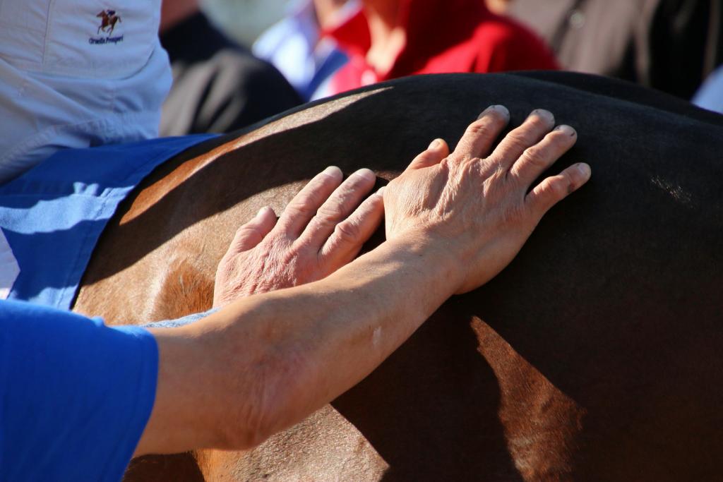 Winning hands on Union Strike. (Julie June Stewart photo)